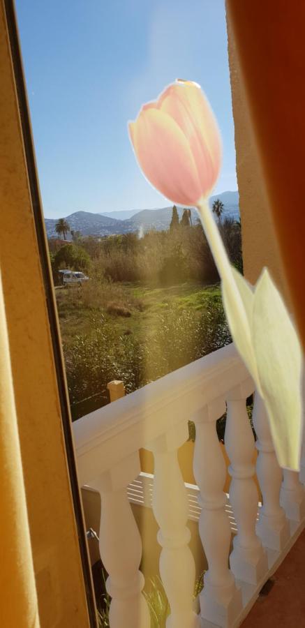 Apartamento Mar Y Sol, Denia Εξωτερικό φωτογραφία
